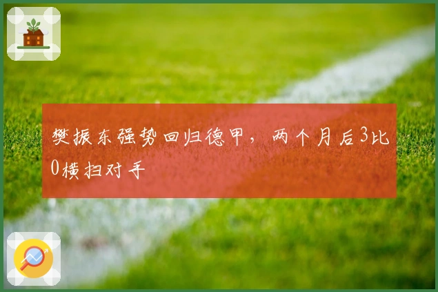 樊振东强势回归德甲，两个月后3比0横扫对手