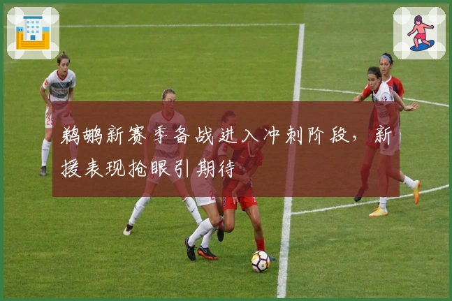 鹈鹕新赛季备战进入冲刺阶段，新援表现抢眼引期待